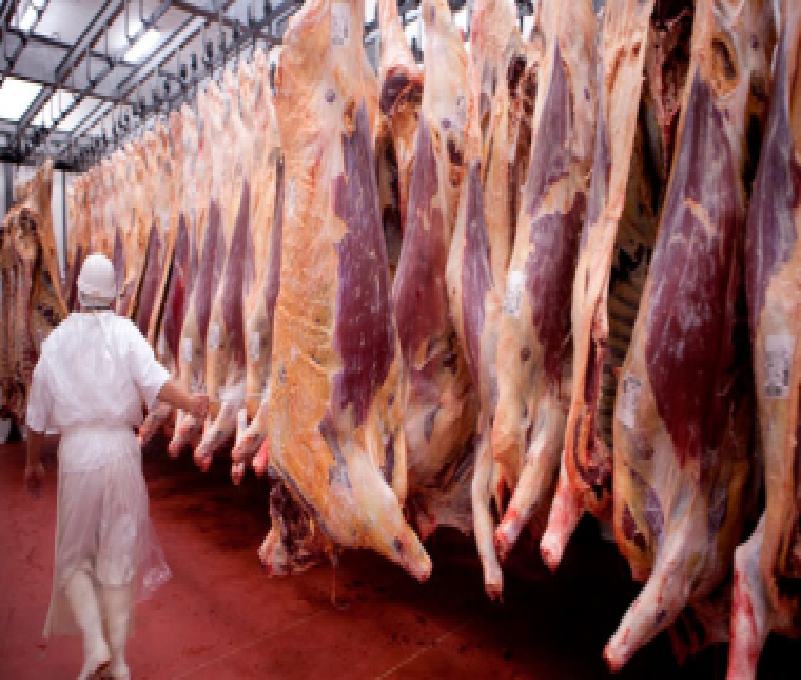 Cifran en un 2% el crecimiento de la producción de carne de vacuno en EE.UU. y en un 1% la de cerdo