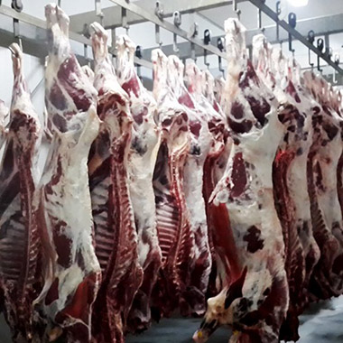 Reino Unido suspende las negociaciones con Canadá para importar carne de vacuno por las hormonas