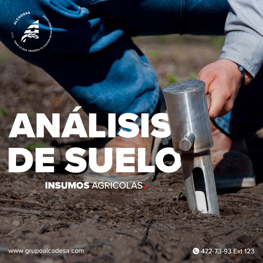 Si quieres tener una cosecha abundante, has un análisis de suelo a tu terreno ALCODESA cuenta con Laboratorio de última generación