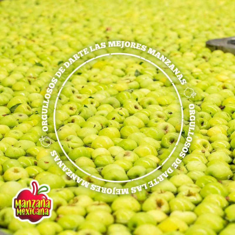 A diario consume Manzana Mexicana, y que te ofrece múltiples beneficios para tu salud
