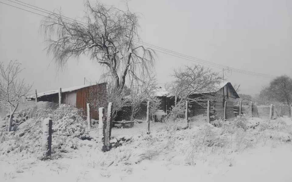 Reporta CEPC Nieve en San Juanito y Creel, continúa pronóstico de precipitaciones en el estado