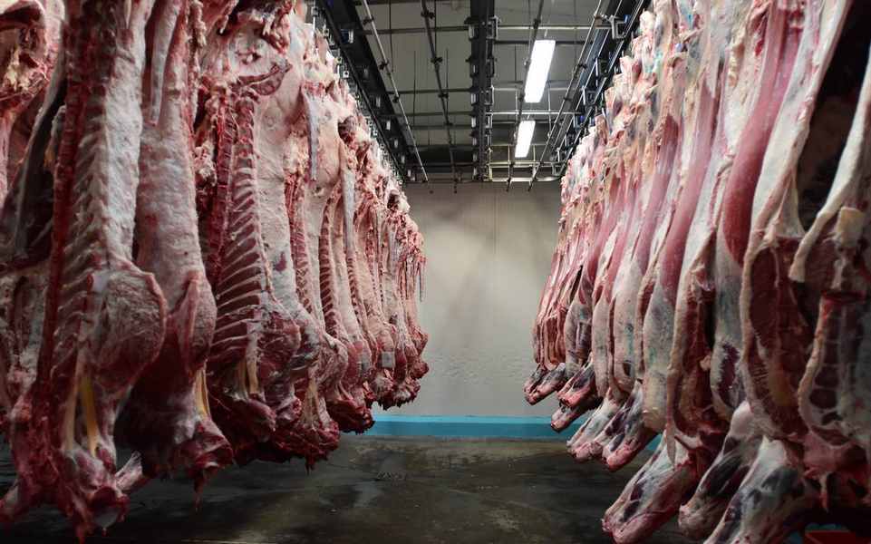 Las exportaciones de carne de vacuno australianas en 2023, las más altas desde 2019