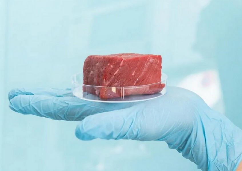 Los ministros de Agricultura de la UE debatirán sobre la carne artificial