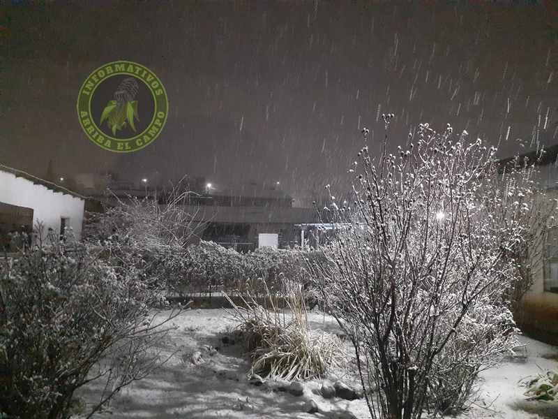 Se registra Nieve en la Cabecera Municipal de Madera, Chih.