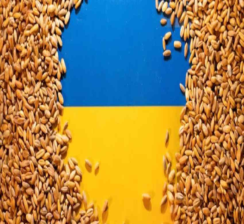 Los agricultores del sur de Ucrania comienzan la siembra de cereales de 2024