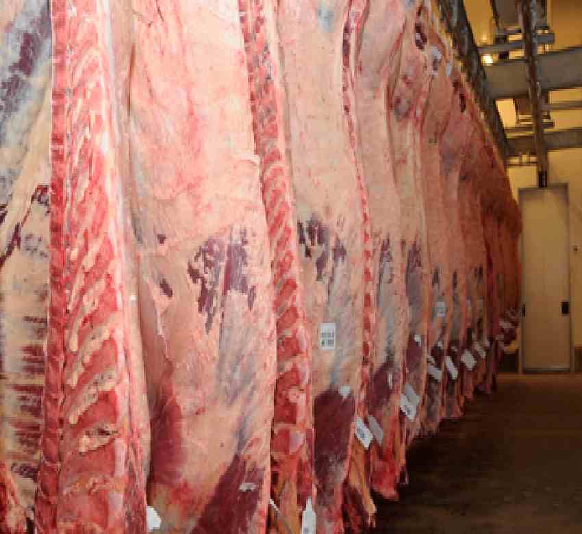 Paraguay podría llegar a 10.000 toneladas de carne de vacuno exportadas a EE.UU. y espera diversificar los cortes