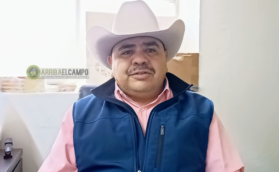 Se han entregado 800 mega pacas de rastrojo en coordinación con SDR, municipio de Madera adquirirá 5 mil pacas normales para apoyo de más productores: Juan Carlos García