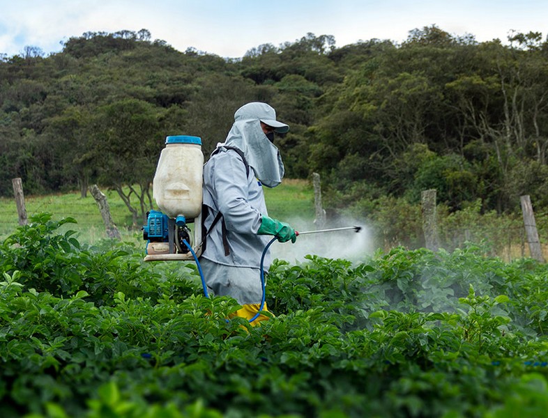 El uso de pesticidas se duplicó de 1990 a 2021, alerta la FAO