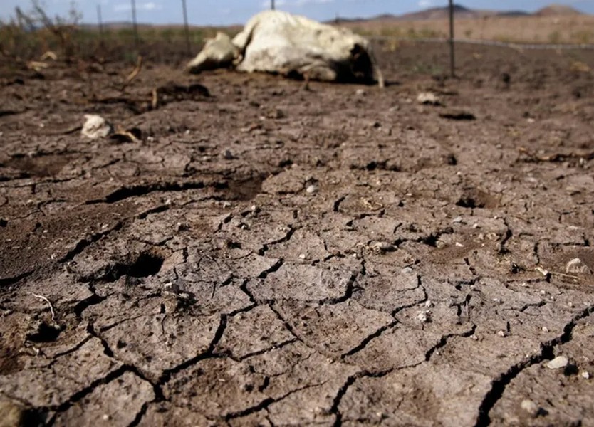 Coahuila y Durango inician año con afectaciones por sequía, según la Conagua