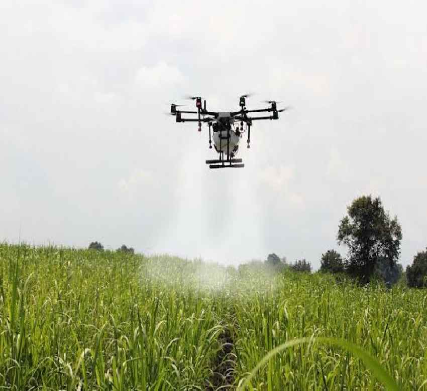 Brasil: Inteligencia Artificial entrega mayor precisión en las decisiones de los agricultores