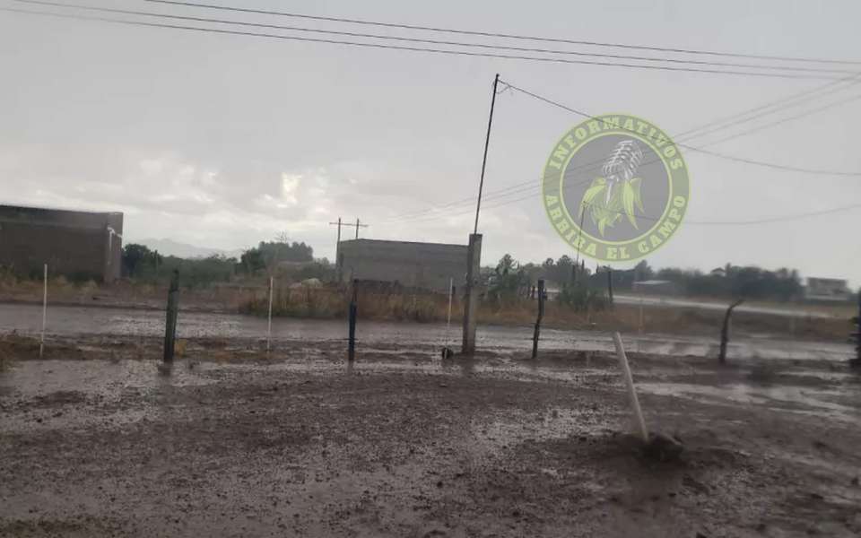 Productores del mpio. de Temósachi muy contentos por la lluvia que está cayendo, ya que les da esperanza para seguir con su actividad agropecuaria