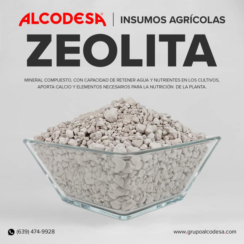 Cultiva de forma sustentable y protege tu siembra por falta de agua, ALCODESA te ofrece Zeolita