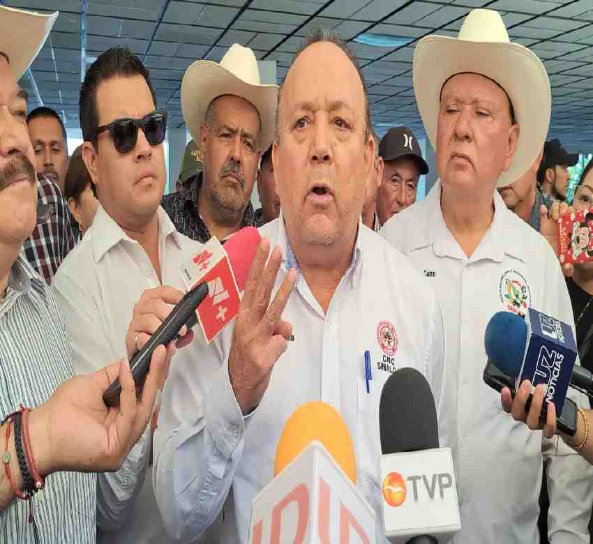Agricultores piden a AMLO declarar a Sinaloa estado de emergencia por los bajos precios de los granos