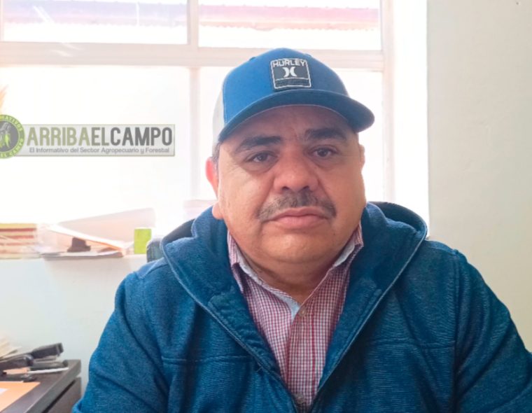 VIDEO: Agricultores y Ganaderos de Madera están animados ante las condiciones de humedad que se están presentando en el municipio: Director de Desarrollo Rural de Madera
