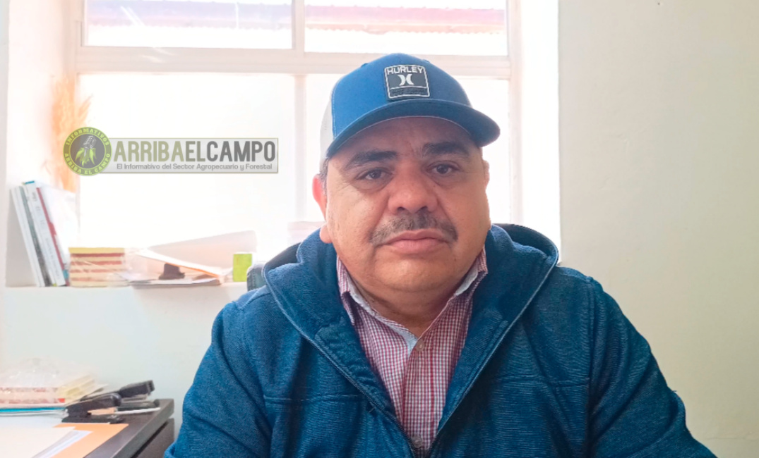VIDEO: Agricultores y Ganaderos de Madera están animados ante las condiciones de humedad que se están presentando en el municipio: Director de Desarrollo Rural de Madera