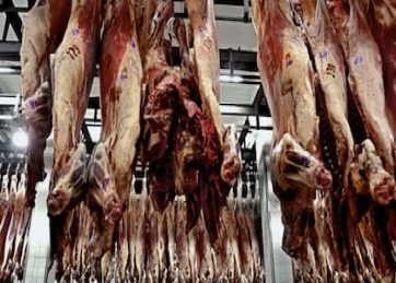 Por el cambio de política: la Argentina rompió con la carne un récord de hace 57 años
