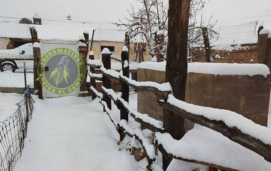 Reporta CEPC caída de nieve en 10 municipios por paso de la Octava Tormenta Invernal