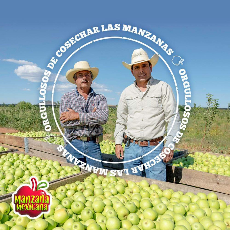 Es un orgullo para los productores de Manzana Mexicana el que puedas disfrutar del sabor y nutrientes de este fruto