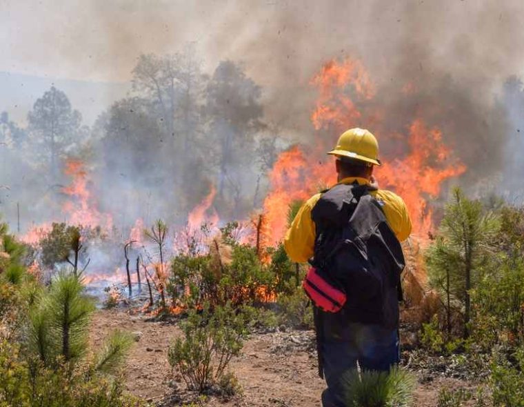 Cuidemos nuestros Bosques; Se registran más de 100 incendios forestales en la entidad en lo que va del año