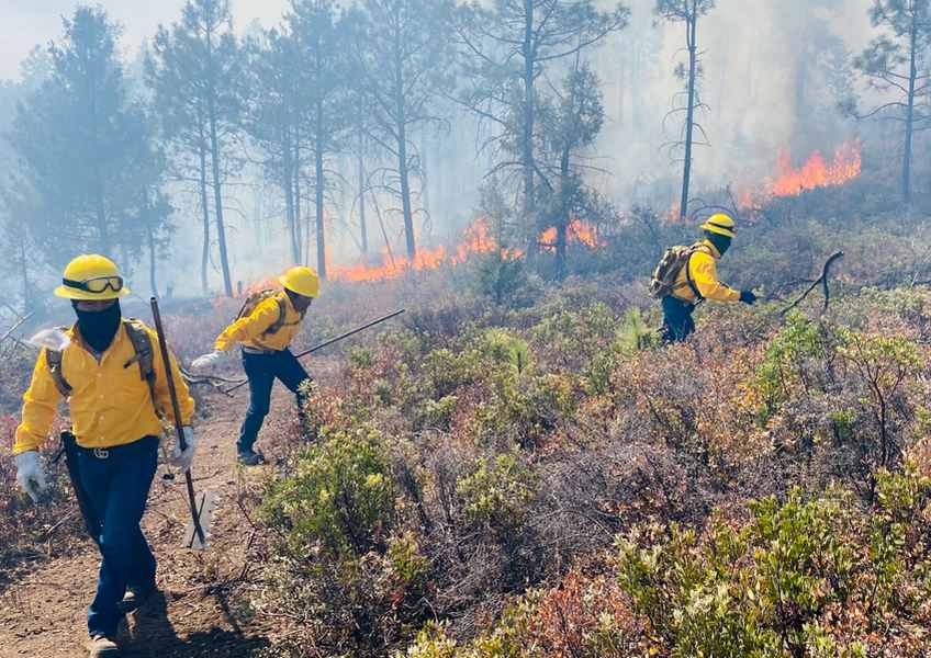 Continúan acciones contra incendios forestales en la zona serrana