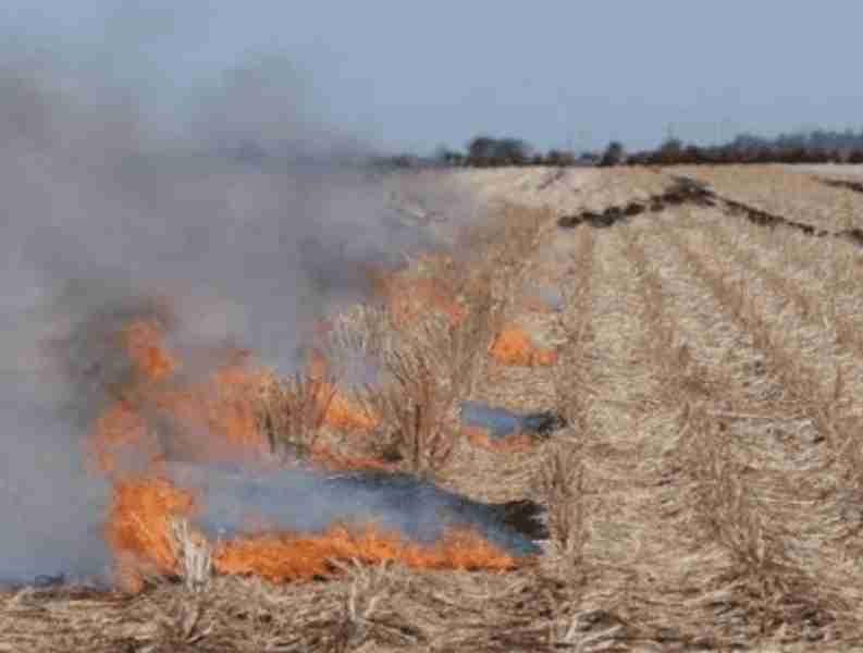 Sonora: Piden mano dura en quema de gavilla