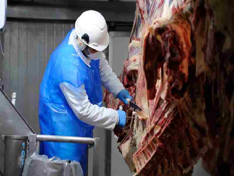 Uruguay fue habilitado para exportar estómagos bovinos a China
