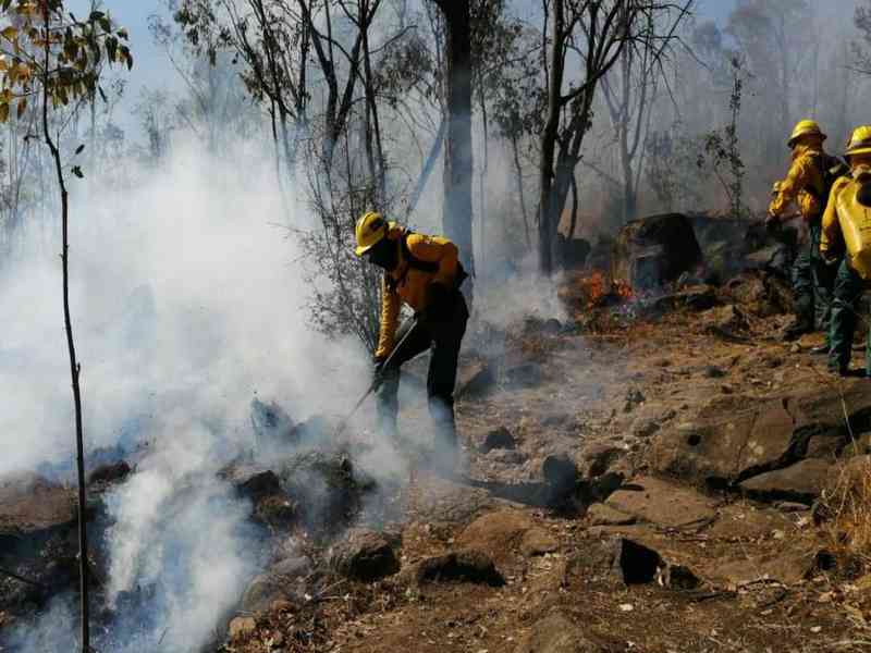 Durante el primer trimestre del 2024 se han combatido más de 600 incendios forestales en el Edomex