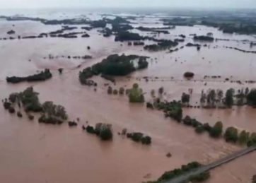 Brasil: Alertan por daño permanente sobre la lechería de rio grande por inundaciones